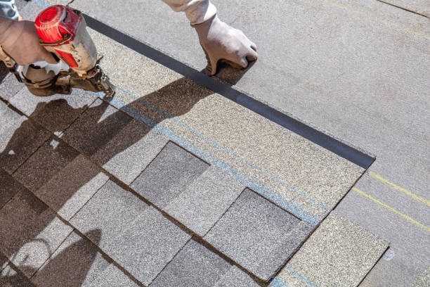 Best Shingle Roofing Installation  in Mims, FL