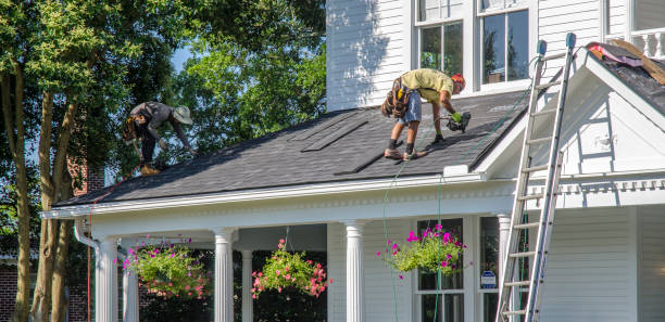 Best Roof Gutter Cleaning  in Mims, FL